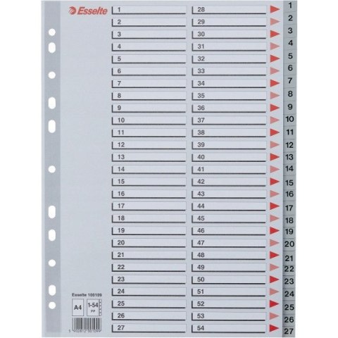 Przekładki plastikowe numeryczne A4 1-54 szare ESSELTE 100109