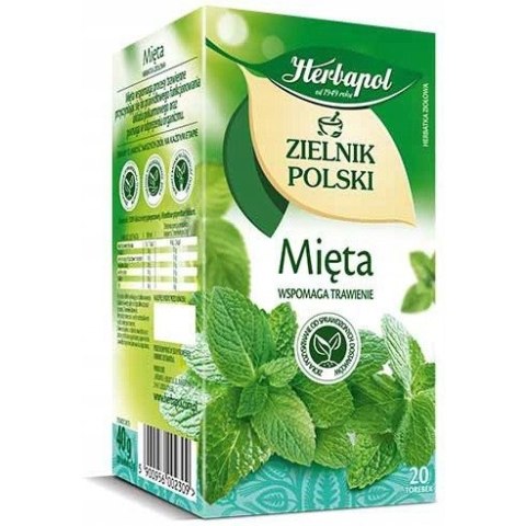 Herbata HERBAPOL ZIELNIK POLSKI mięta (20 torebek)