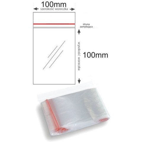 Torebki strunowe 100x100mm (100szt)