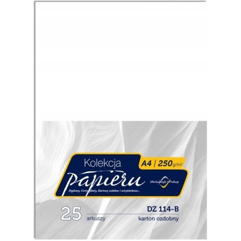 Karton ozdobny 250g (25) DZ114-B