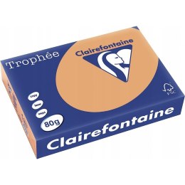 Papier ksero A4 80g TROPHEE brąz wielbłądzi XCA41879 CLAIREFONTAINE