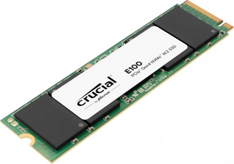 Dysk SSD E100 1TB M.2 NVMe 2280 PCIe 4.0 5000/4500 MB/s