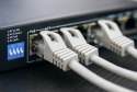 Kabel sieciowy CAT6A FTP wewnętrzny 500m LSZH